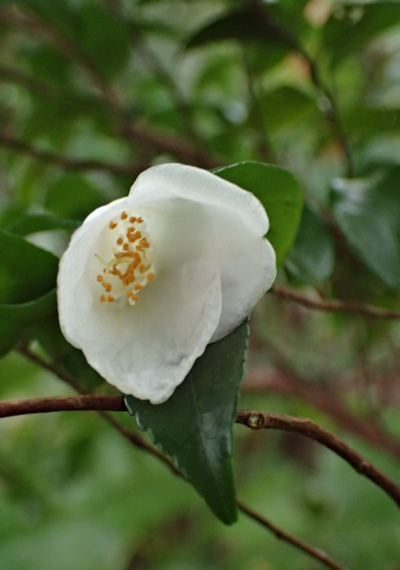 �q���T�U���J