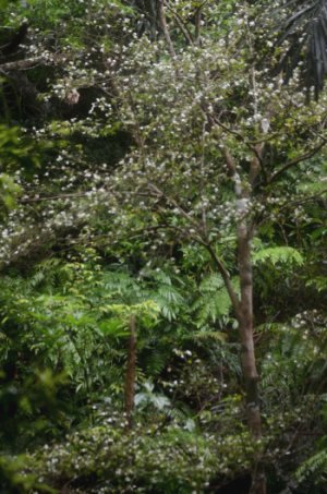 �q���T�U���J