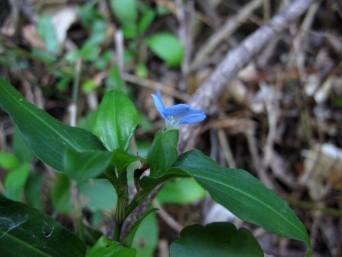 �z�\�o�c���N�T