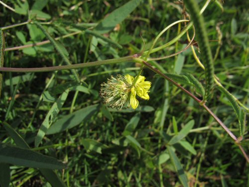 �~�Y�I�W�M�\�E