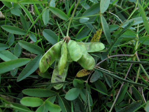 �~�Y�I�W�M�\�E