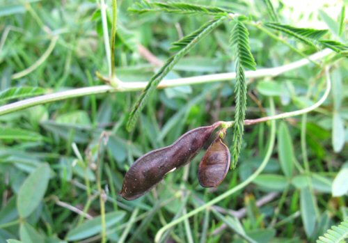 �~�Y�I�W�M�\�E