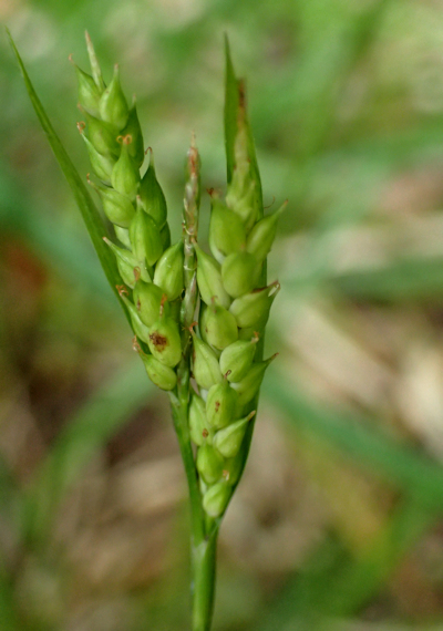 �����E�L���E�^�`�X�Q