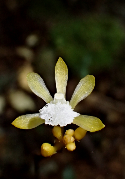 �T�L�V�}�X�P���N����