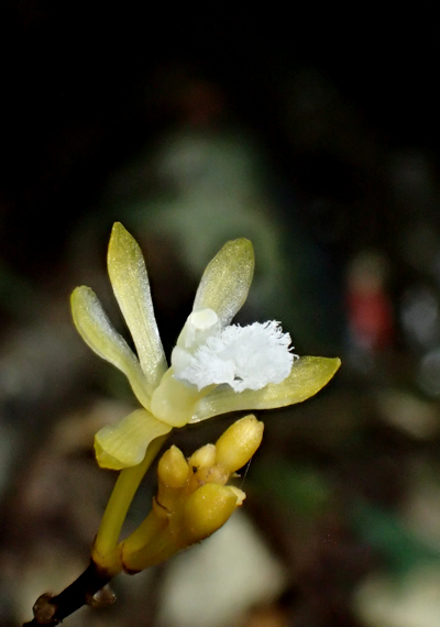 �T�L�V�}�X�P���N����