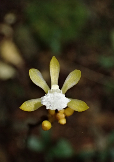 �T�L�V�}�X�P���N����