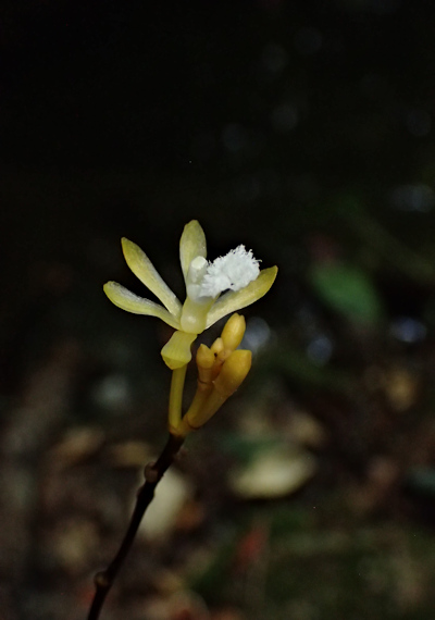 �T�L�V�}�X�P���N����